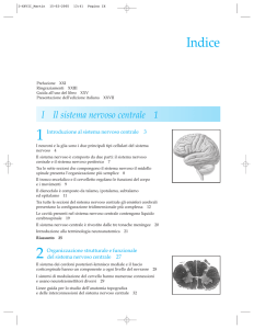 Indice - Ateneonline