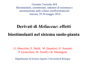 Derivati di Meliaceae: effetti biostimolanti nel sistema suolo