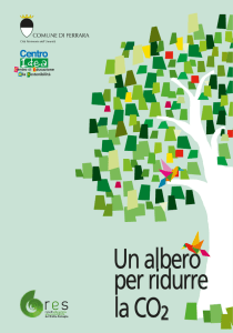 Un albero per ridurre la CO2