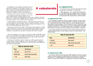 Colesterolo e dislipidemie - Medici Insieme Vicenza Medicina di