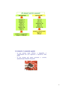 a5 nutrienti modalitã compatibilitã