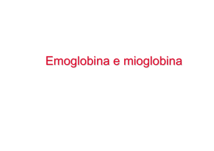 Mioglobina e Emoglobina