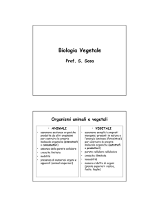 Biologia Vegetale - Imprintaonline.it