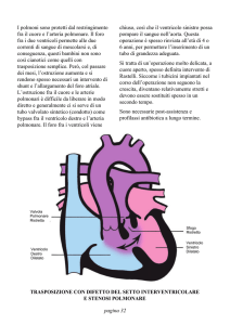 I polmoni sono protetti dal restringimento fra il cuore e l`arteria