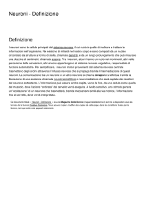 Neuroni - Definizione - Magazine Delle Donne