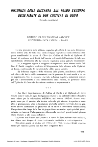 influenza della distanza sul primo sviluppo delle piante di due