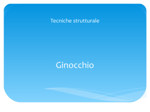 Ginocchio - Nuova Scuola di Osteopatia