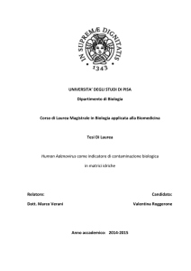 UNIVERSITA` DEGLI STUDI DI PISA Dipartimento di Biologia Corso