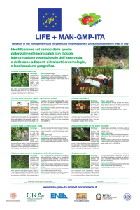 Pannello CRA Brassicacee 100x150 - Il Progetto Life+ Man