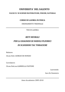 tesi -sara - Multisites Network of DMF