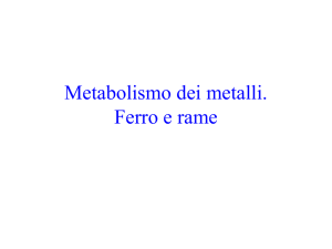 Metabolismo dei metalli - e