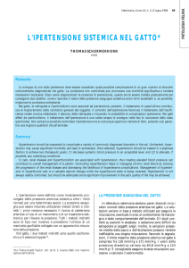 l`ipertensione sistemica nel gatto