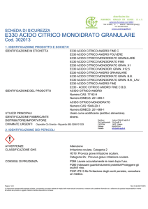 302013-E330 ACIDO CITRICO MONOIDRATO GRANULARE