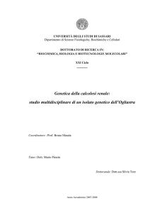 Genetica della calcolosi renale - Università degli Studi di Sassari