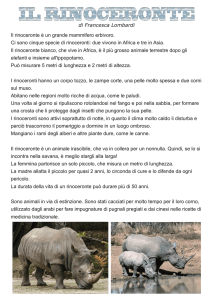 Rinoceronte - DigiScuola