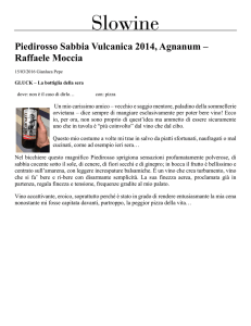 Piedirosso Sabbia Vulcanica 2014, Agnanum – Raffaele Moccia