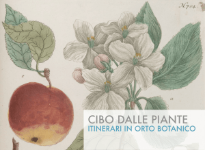 cibo dalle piante - Sistema Museale di Ateneo