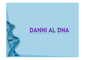 danni al DNA [PDF