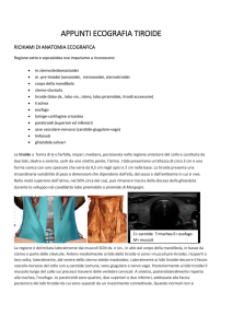 appunti ecografia tiroide