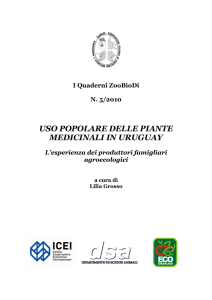 uso popolare delle piante medicinali in uruguay