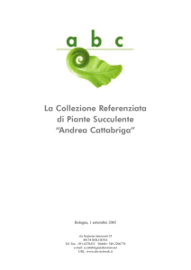 Relazione di consistenza della Collezione Cattabriga