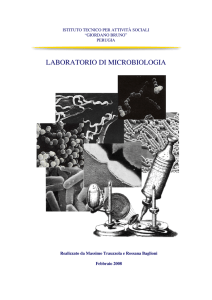 laboratorio di microbiologia