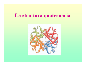 La struttura quaternaria