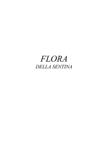 FLORA sentina