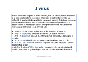 Virus-Fortina