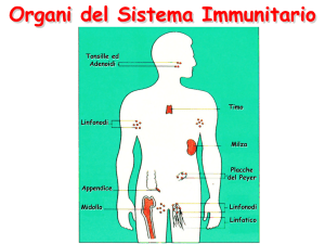 Lezione 19-Sistema_Immunitario 2015