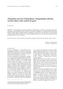 083-088 Iamonico - Chenopodium sensu lato nella flora italiana