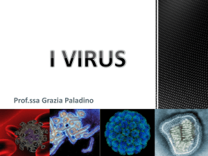 I virus - CapovolgiLeScienze