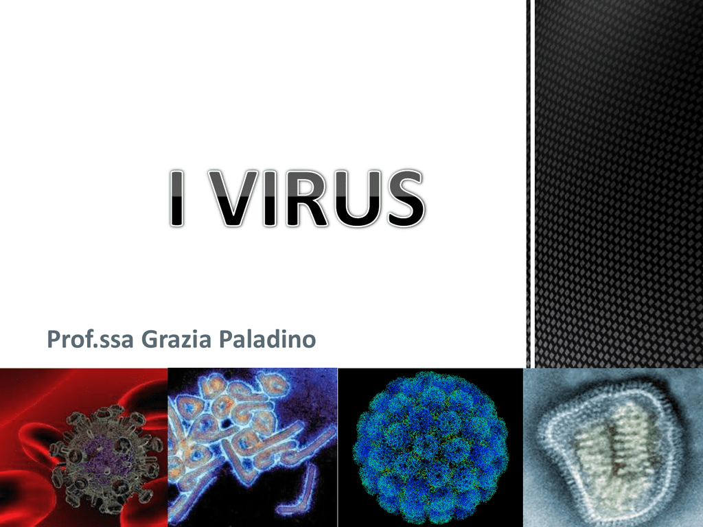 Тест 1 вирусы