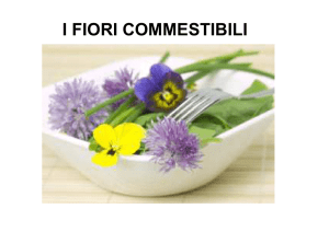 L`orto - I Fiori Commestibili