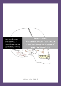 I nervi cranici riassunti a base di “trattato di anatomia umana