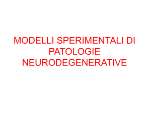 Modelli di Patologie Neurodegenerative