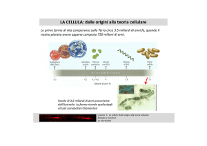 La cellula