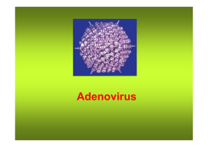 Adenovirus - sciunisannio.it