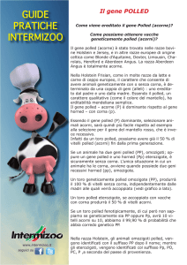 Leggi l`articolo PDF