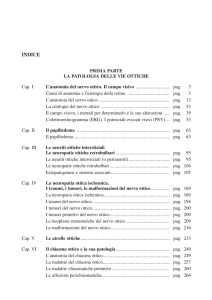 Neuroftalmologia. Quinta edizione