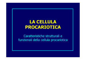 (Microsoft PowerPoint - Cellula Procariotica [modalit\340 compatibilit