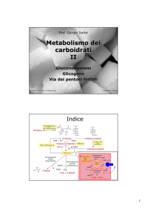 B09-II. Metabolismo glucidico - II parte