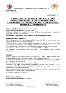 Capitolato - Regione Sardegna