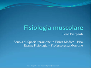Fisiologia muscolare - Elena