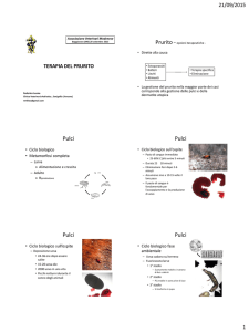 Diapositiva 1