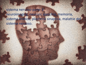 Neuroni specchio - Istituto Ven. A. Luzzago