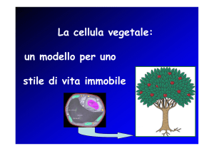La cellula vegetale: un modello per uno stile di vita immobile