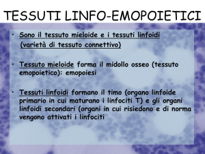 Lezioni Tessuti mieloide e linfoide