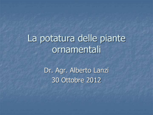 La potatura delle piante ornamentali