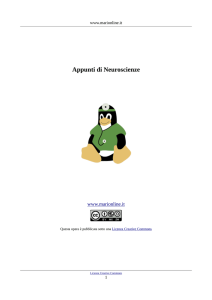 Appunti di Neuroscienze - www.marionline.it::. | Medicina units